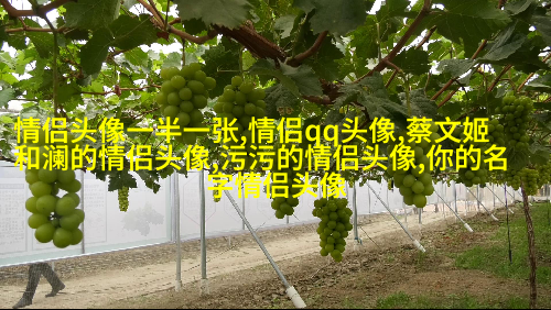 永远不撞的情侣头像动漫(共20张)