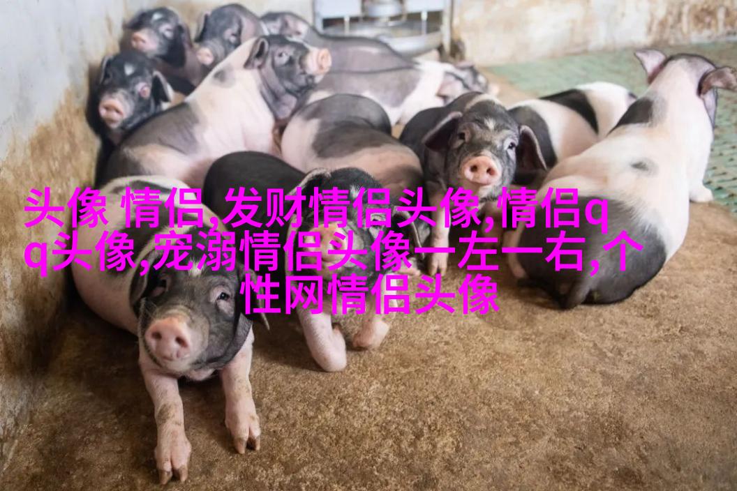 女性唯美图片微信头像(20张)