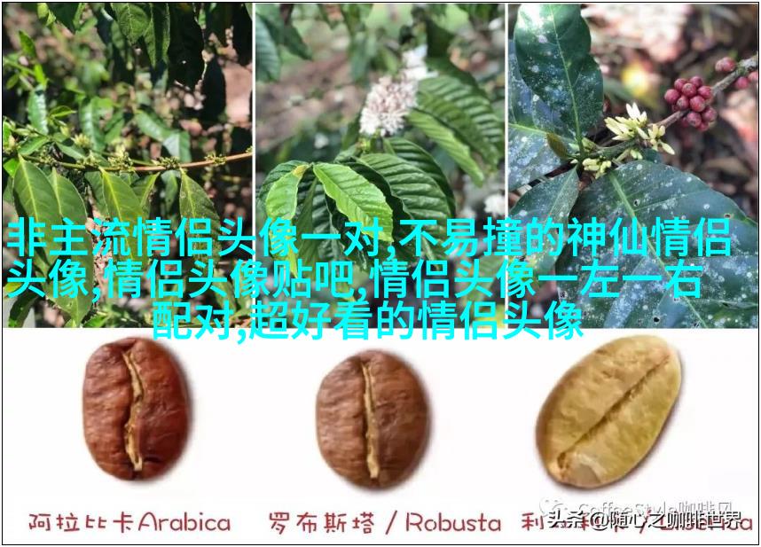 高清美图风景微信头像图片大全(精选22张)