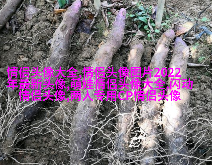 2023年最美的微信头像(精选24张)