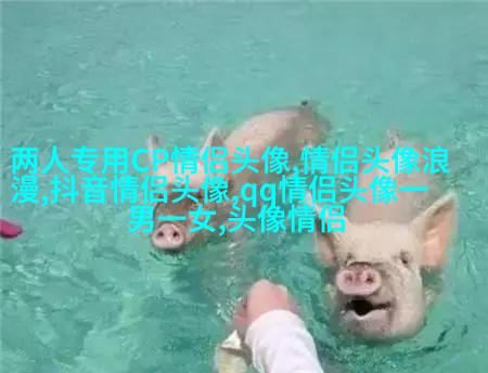 情侣头像酷酷帅帅拽的一人一张(22张)