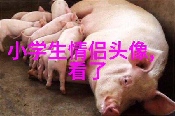 qq头像情侣单人一男一女高清图片大全(优选16张)
