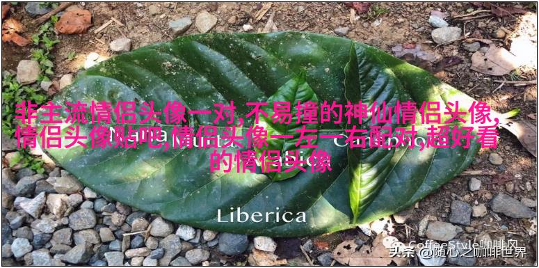 高清美图风景微信头像图片大全(精选22张)