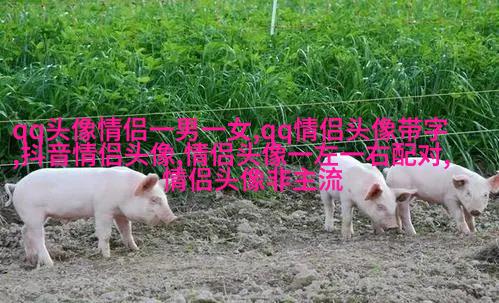 适合中老年的微信头像图片(优选23张)