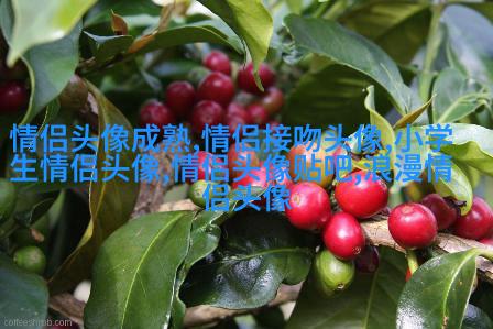 简单干净好看微信头像温馨的微信头像(优选22张)