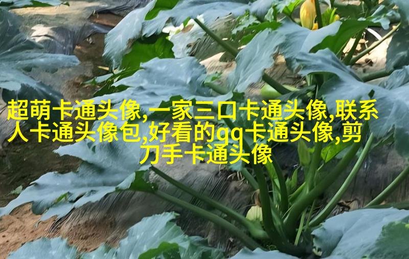 可爱女生带文字头像(精选16张)