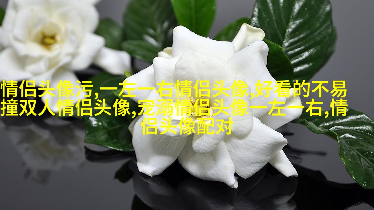一对小猪的情侣头像(16张)