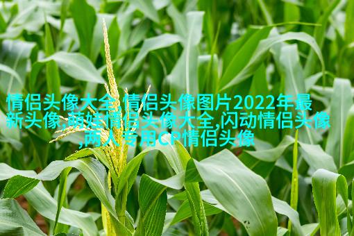 2023年最美的微信头像(精选24张)