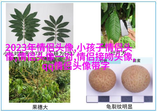 两人情侣头像一人一张(精选20张)