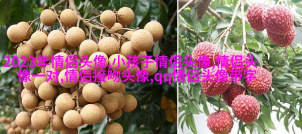 两人情侣头像一人一张(精选20张)