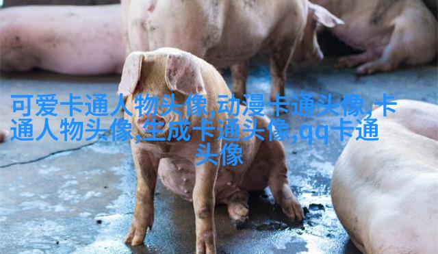 情侣头像一男一女呆萌可爱高清图片(22张)